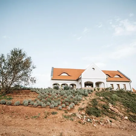 Palo Borbirtok - Bed And Wine Villa *