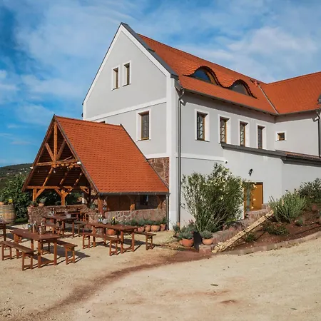 Villa Palo Borbirtok - Bed&wine Paloznak