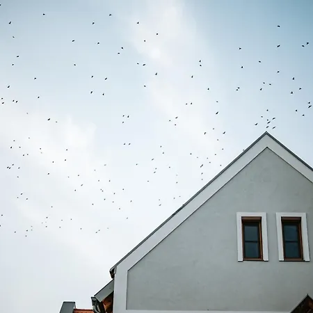 Palo Borbirtok - Bed And Wine Paloznak