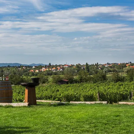 Villa Palo Borbirtok - Bed&wine Paloznak