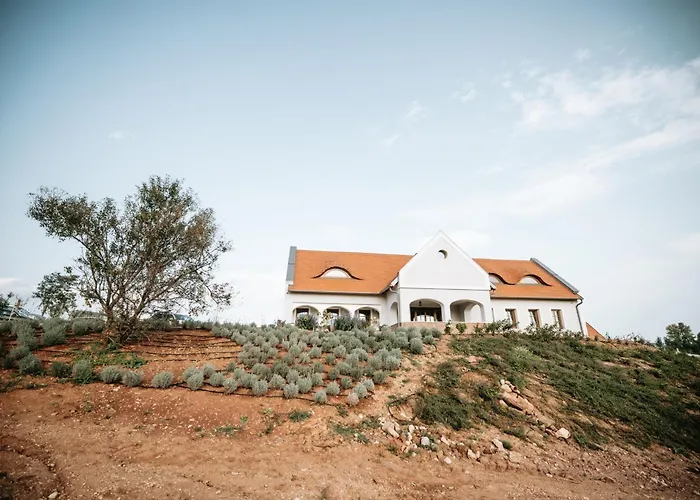 Palo Borbirtok - Bed And Wine Villa *