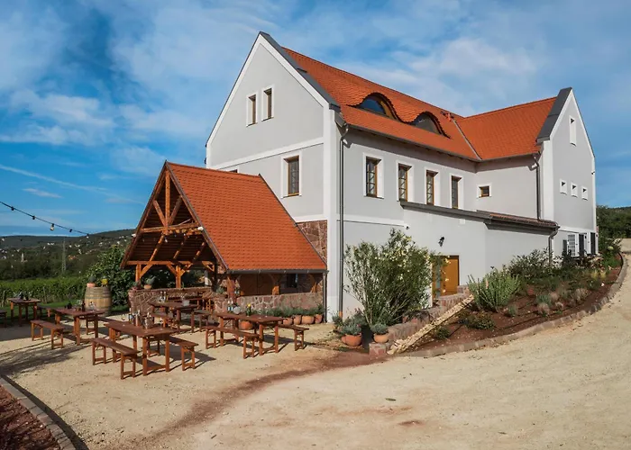 Villa Palo Borbirtok - Bed And Wine Paloznak