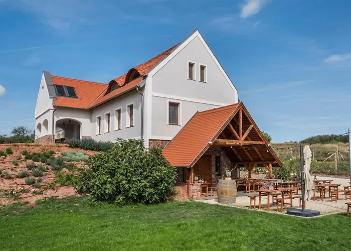Palo Borbirtok - Bed And Wine Villa