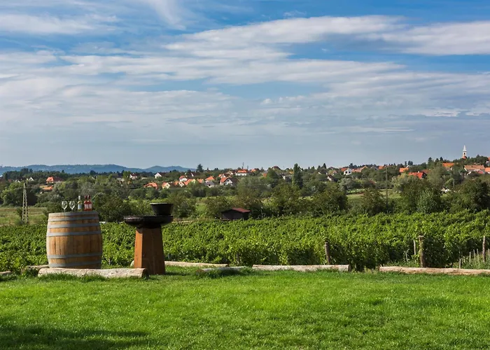 Villa Palo Borbirtok - Bed And Wine Paloznak
